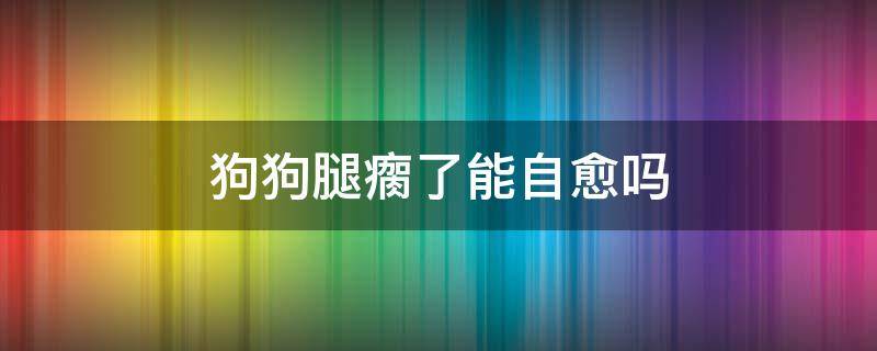 狗狗腿瘸了能自愈吗 狗的腿瘸了能自行恢复吗