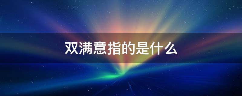 双满意指的是什么 双满意理论指的是什么