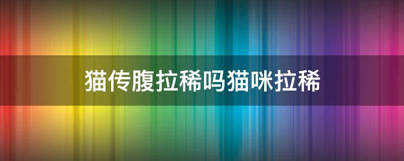 猫传腹拉稀吗猫咪拉稀 猫传腹拉稀吗?