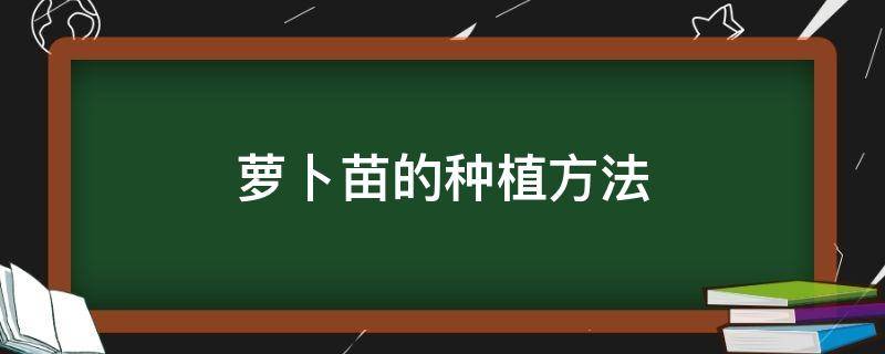 萝卜苗的种植方法（萝卜苗的种植方法视频）