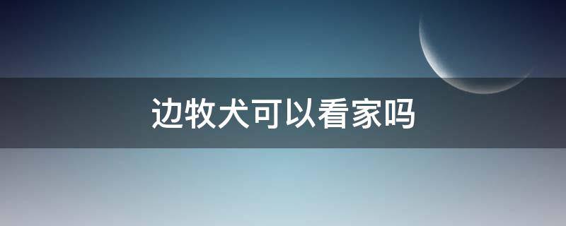 边牧犬可以看家吗 边牧犬会不会看家护院