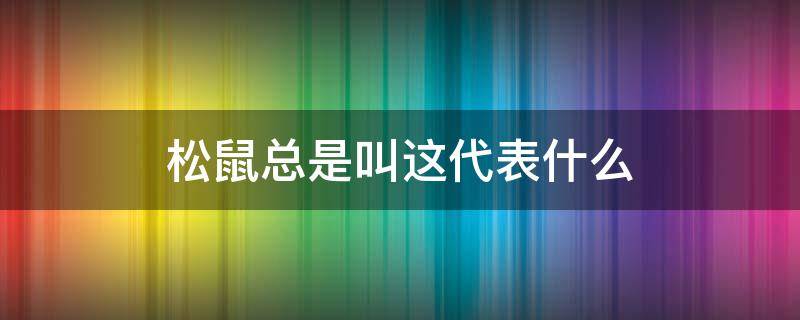 松鼠总是叫这代表什么 为什么松鼠会叫