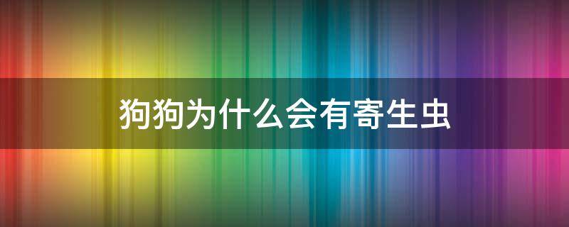 狗狗为什么会有寄生虫（狗狗为什么会得寄生虫）