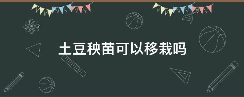 土豆秧苗可以移栽吗（土豆秧苗怎么移栽）