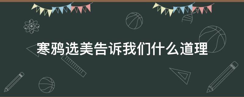 寒鸦选美告诉我们什么道理 乌鸦选美告诉我们什么道理