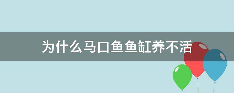 为什么马口鱼鱼缸养不活（马口鱼好养不?）