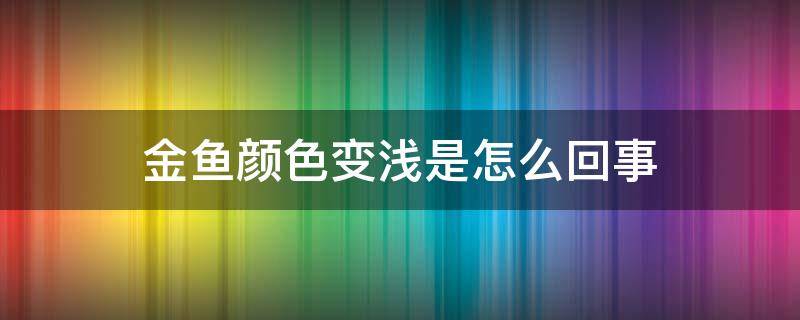 金鱼颜色变浅是怎么回事 金鱼颜色变浅是怎么办