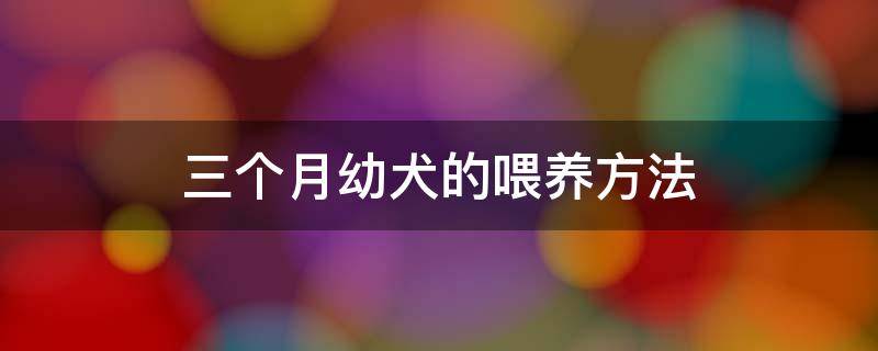 三个月幼犬的喂养方法 三个月幼犬怎么喂食