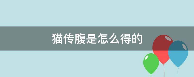 猫传腹是怎么得的 猫传腹是怎么得的病