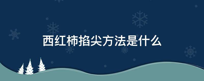 西红柿掐尖方法是什么 种西红柿掐尖步骤图解