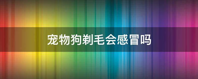 宠物狗剃毛会感冒吗 小狗毛全剃了 容易感冒吗