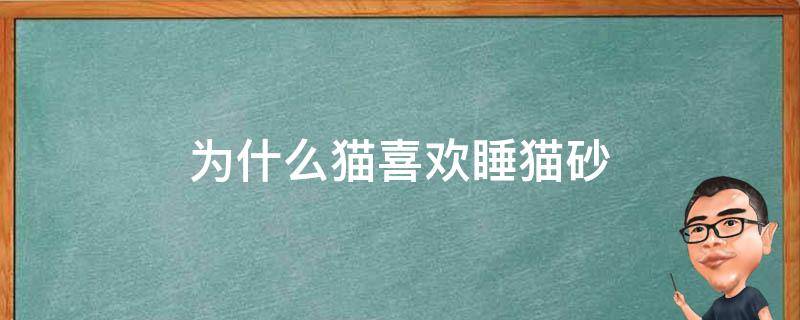 为什么猫喜欢睡猫砂 为什么猫咪喜欢睡猫砂