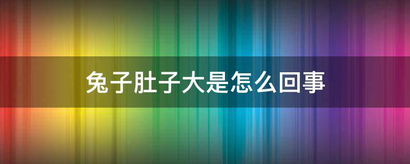 兔子肚子大是怎么回事 兔子肚子大是怎么回事?