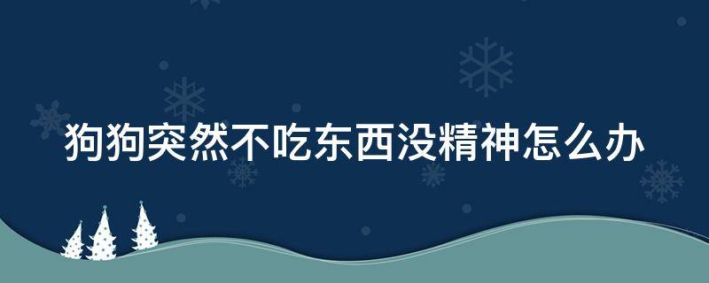 狗狗突然不吃东西没精神怎么办 狗狗突然不吃东西没精神怎么办只喝水