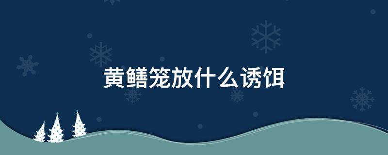 黄鳝笼放什么诱饵 黄鳝笼放什么诱饵和怎么放