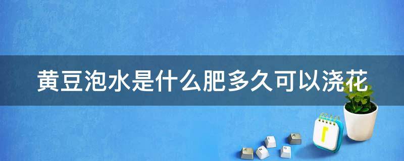 黄豆泡水是什么肥多久可以浇花 黄豆泡水怎么浇花