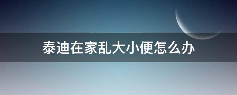 泰迪在家乱大小便怎么办（小泰迪乱拉屎尿怎么办）