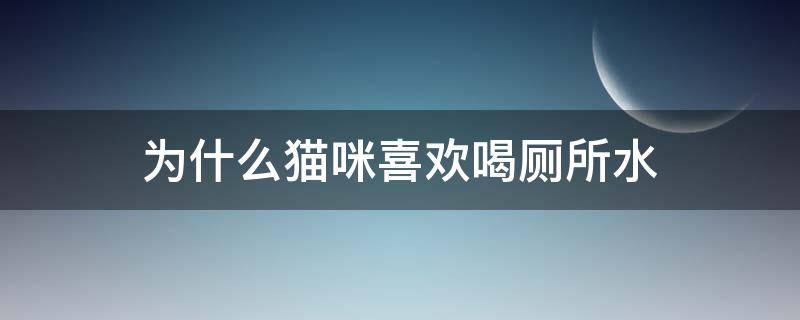 为什么猫咪喜欢喝厕所水 猫咪喜欢喝厕所里的水