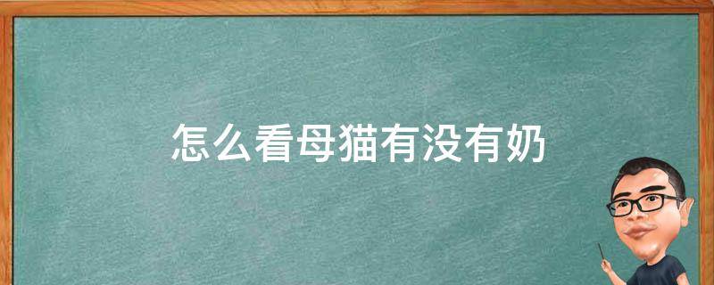 怎么看母猫有没有奶 怎么看母猫还有没有奶