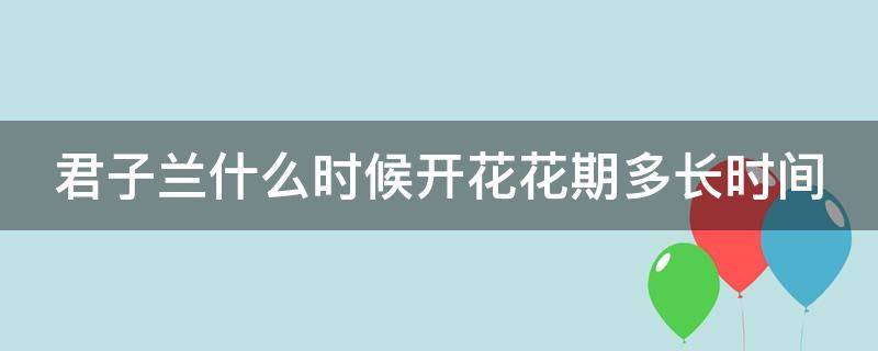 君子兰什么时候开花花期多长时间（君子兰什么时候开花?）