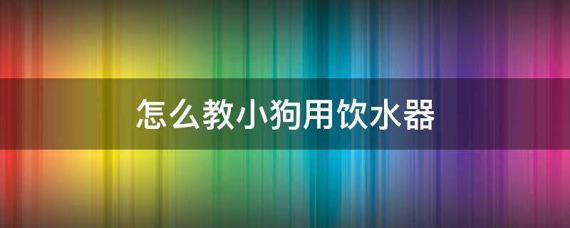 怎么教小狗用饮水器 怎么让狗学会用饮水器