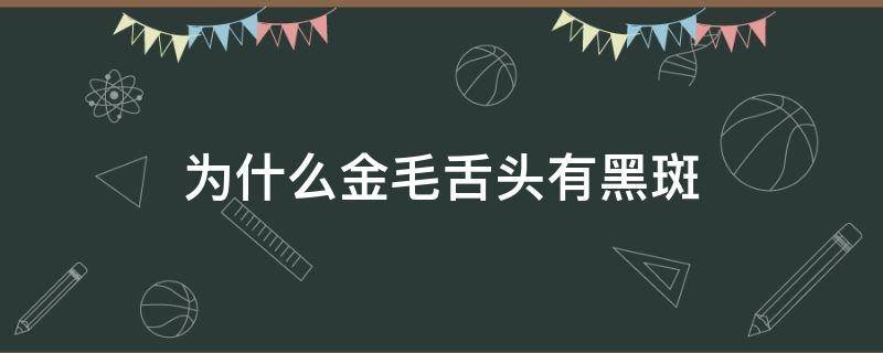 为什么金毛舌头有黑斑 金毛舌头有黑色斑点