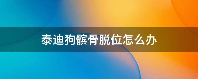 泰迪狗髌骨脱位怎么办 泰迪狗后腿髌骨脱位怎么治疗