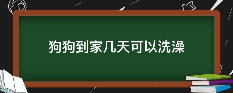 狗狗到家几天可以洗澡 狗狗刚到家几天可以洗澡