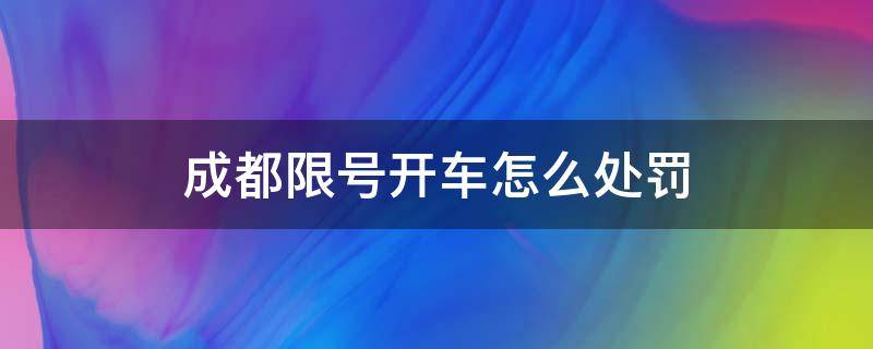 成都限号开车怎么处罚（成都限号开车怎么处罚一天拍几次）