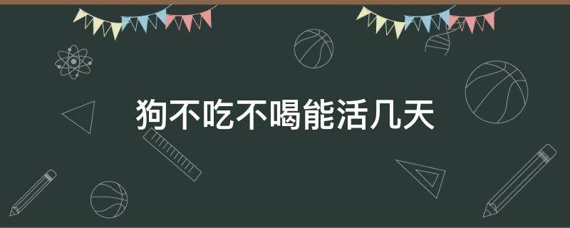 狗不吃不喝能活几天（两个月的小狗不吃不喝能活几天）