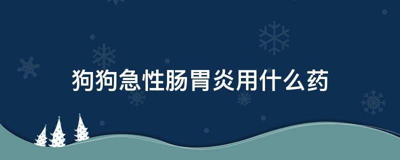 狗狗急性肠胃炎用什么药 狗狗急性胃肠炎吃什么药