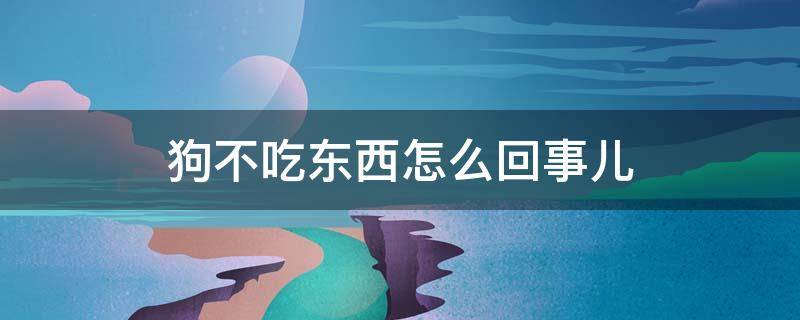 狗不吃东西怎么回事儿 狗不吃东西怎么回事儿?拉的黄色的尿液