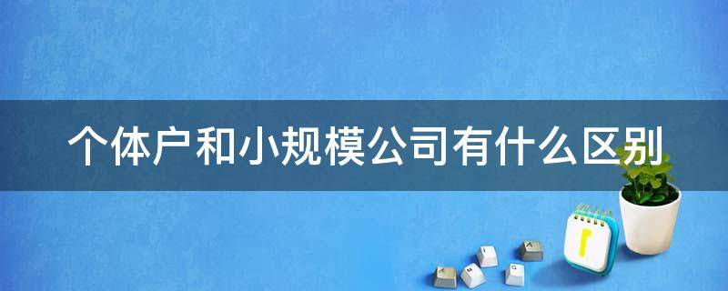 个体户和小规模公司有什么区别（个体转公司后悔了）