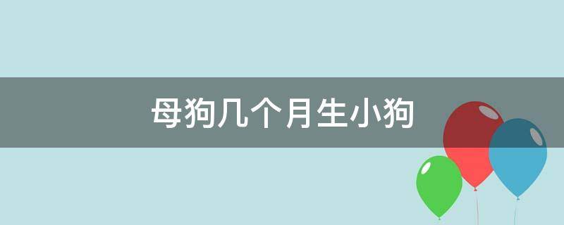 母狗几个月生小狗 母狗大约几个月能生小狗