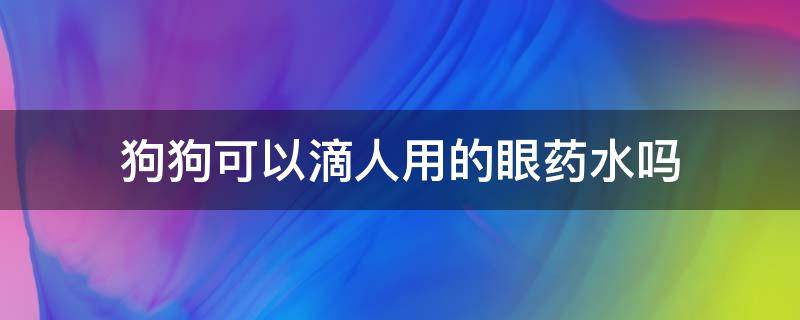 狗狗可以滴人用的眼药水吗（狗狗眼睛可以滴人的眼药水吗）