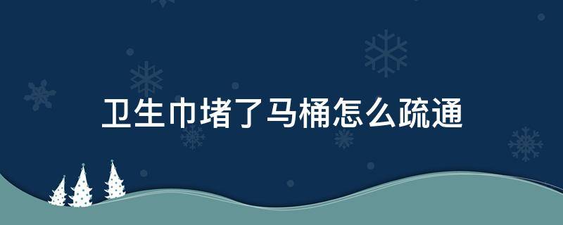 卫生巾堵了马桶怎么疏通（坐厕马桶纸巾堵了怎么疏通）