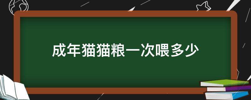 成年猫猫粮一次喂多少（成年猫猫粮一次喂多少克）