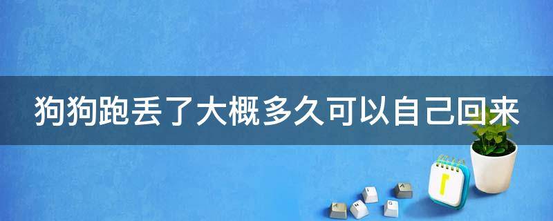 狗狗跑丢了大概多久可以自己回来 小狗走丢了 回来的概率有多大