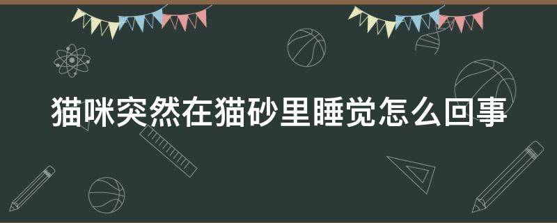 猫咪突然在猫砂里睡觉怎么回事 猫咪突然卧在猫砂盆里一动不动