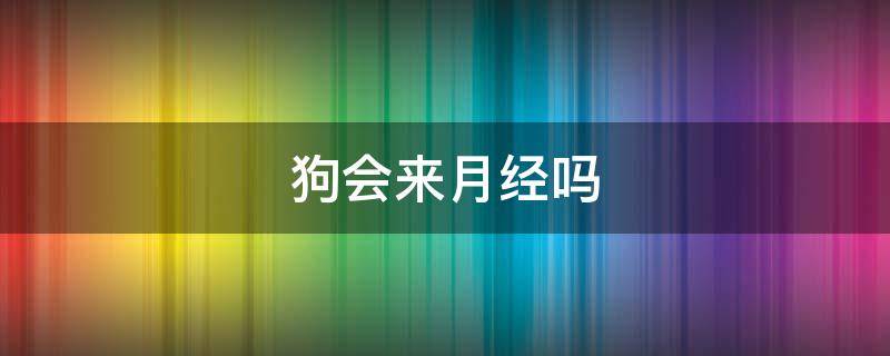 狗会来月经吗 宠物狗会来月经吗