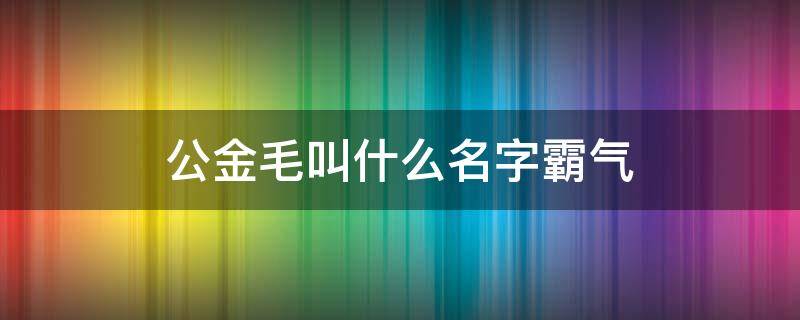 公金毛叫什么名字霸气（金毛狗的名字洋气点的）