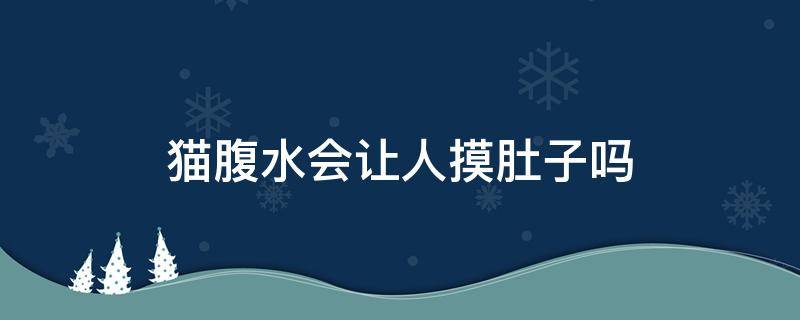 猫腹水会让人摸肚子吗 猫腹水能揉肚子吗