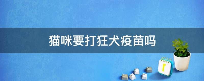 猫咪要打狂犬疫苗吗 家养猫咪要打狂犬疫苗吗