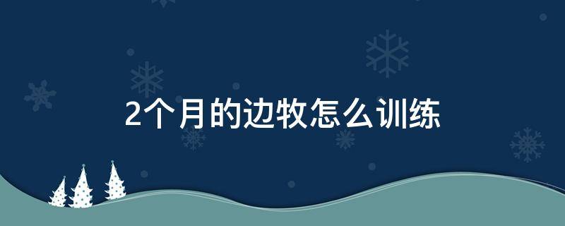 2个月的边牧怎么训练（两个半月的边牧该训练什么）