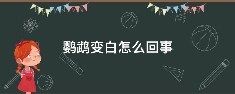 鹦鹉变白怎么回事 鹦鹉鱼变白是怎么回事儿