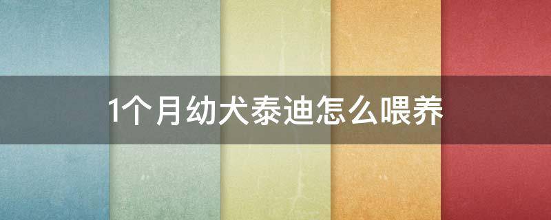 1个月幼犬泰迪怎么喂养（一个月幼犬泰迪怎么喂养）