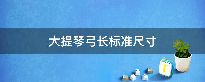 大提琴弓长标准尺寸 小提琴弓长标准尺寸