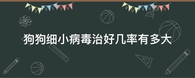 狗狗细小病毒治好几率有多大（狗细小病毒治不好吗）