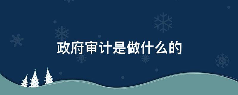 政府审计是做什么的 政府审计是干嘛的