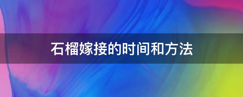 石榴嫁接的时间和方法 石榴嫁接最佳时间